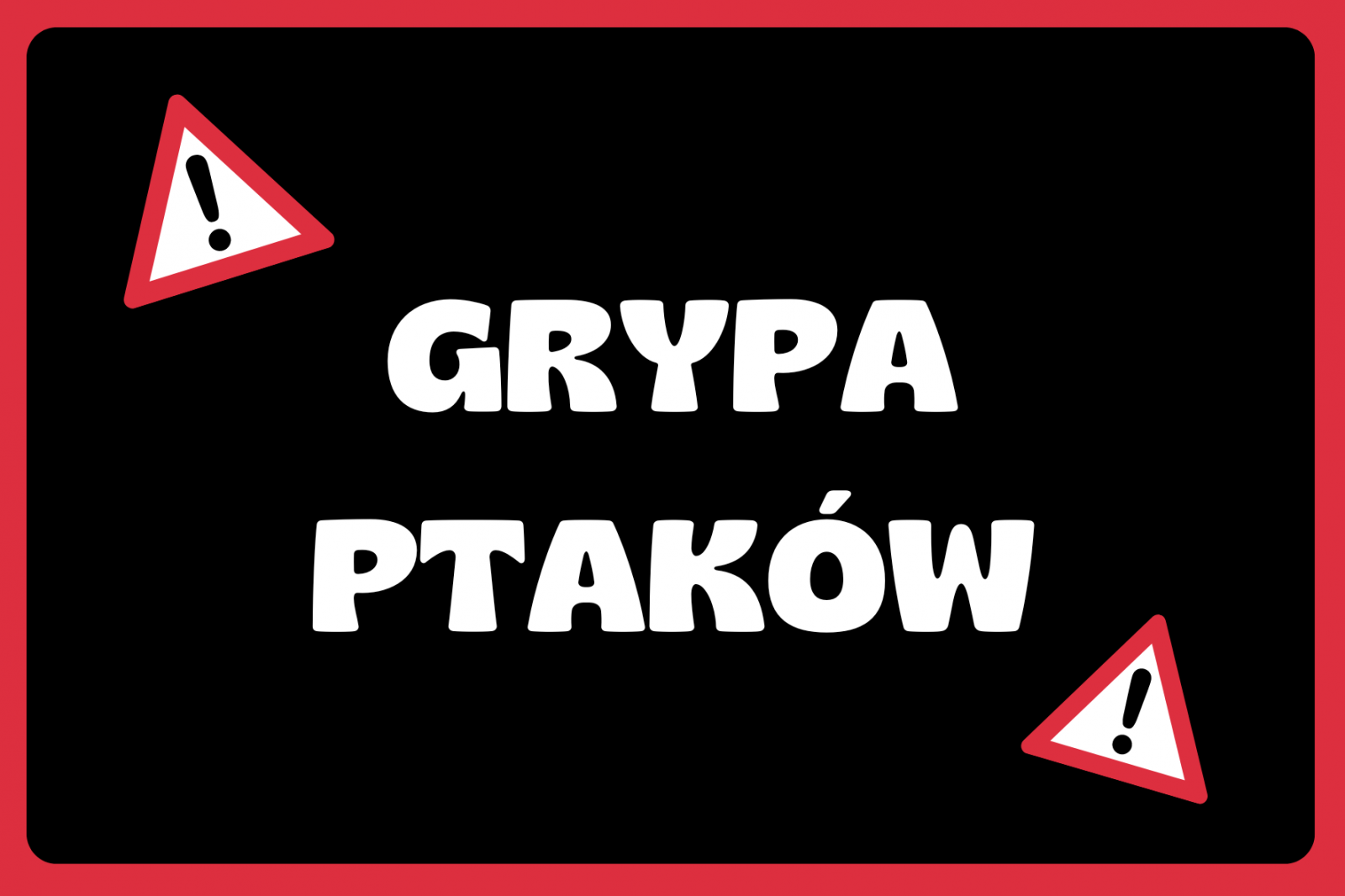 Grypa Ptaków