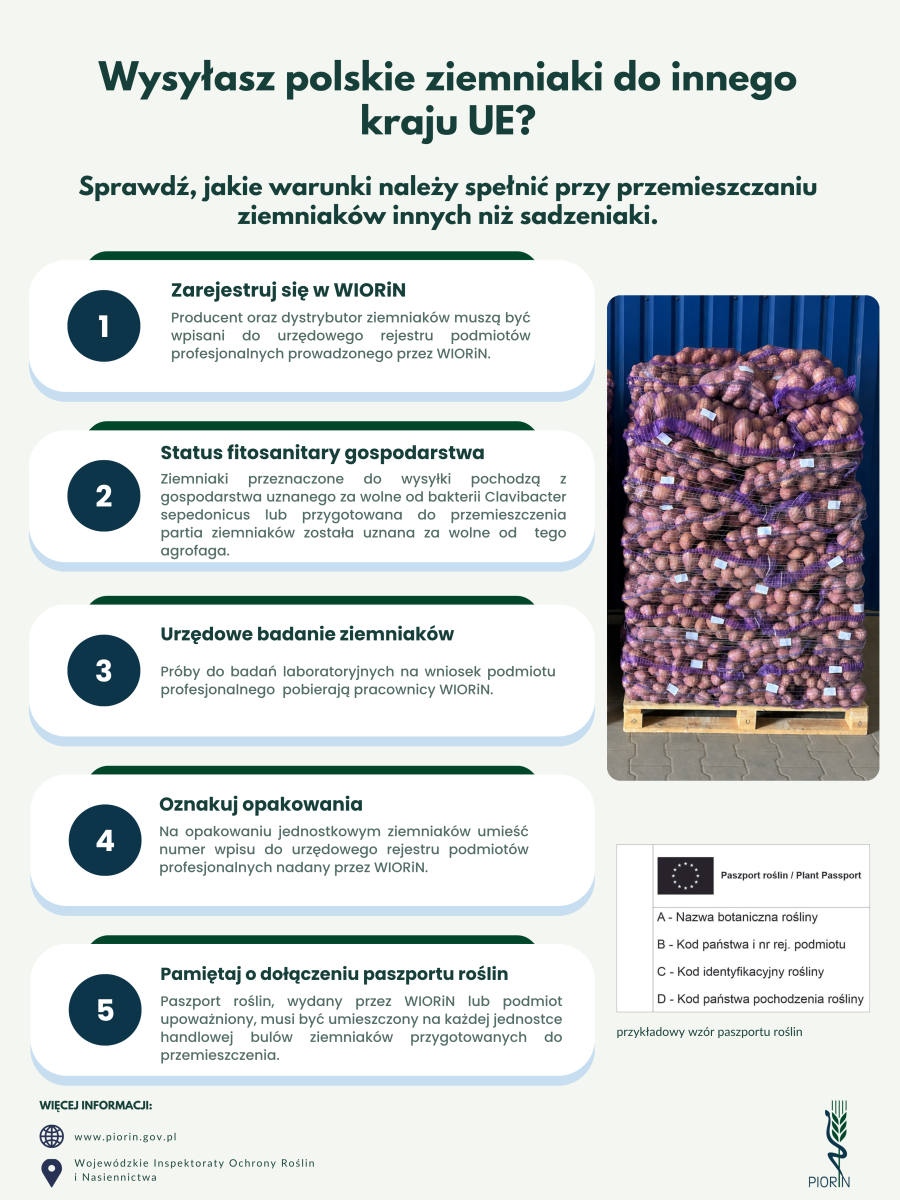 Przemieszczanie ziemniaków do innych Państw Członkowskich - kampania informacyjna