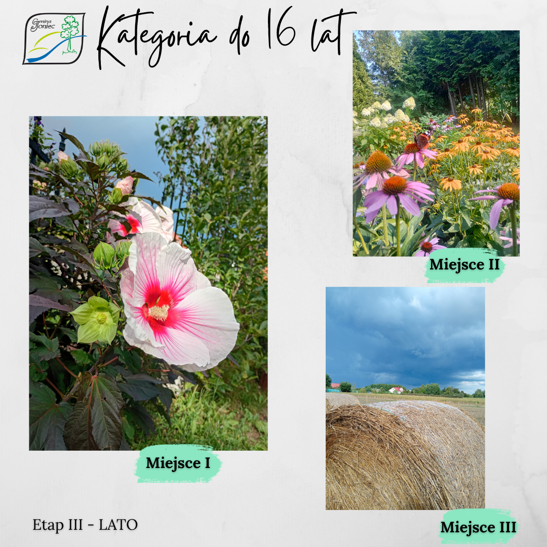 Wyniki III etapu Konkursu Fotograficznego &bdquo;Gmina Joniec, moje miejsce na ziemi&rdquo; &ndash; LATO!