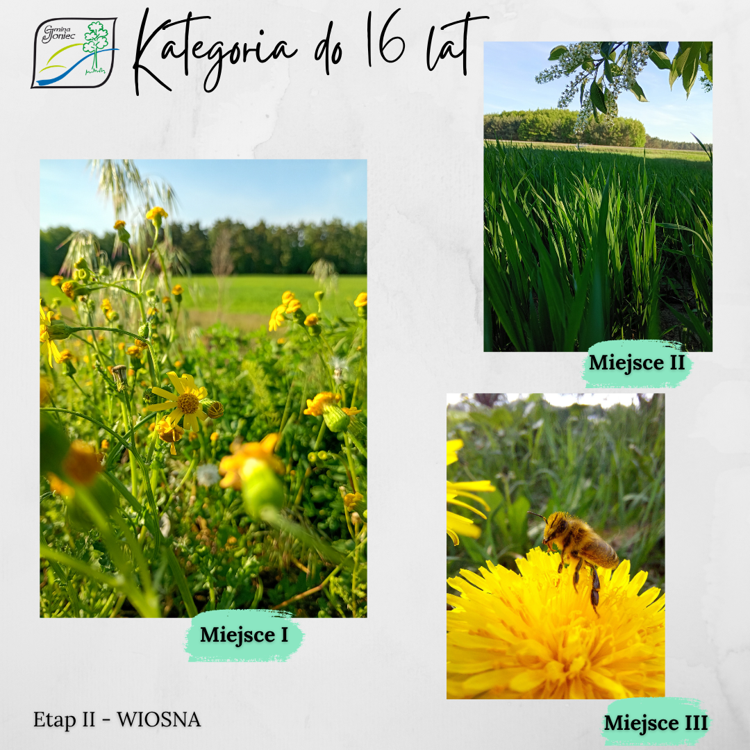 Wyniki Konkursu Fotograficznego &bdquo;Gmina Joniec, moje miejsce na ziemi&rdquo; &ndash; etap II &ndash; WIOSNA