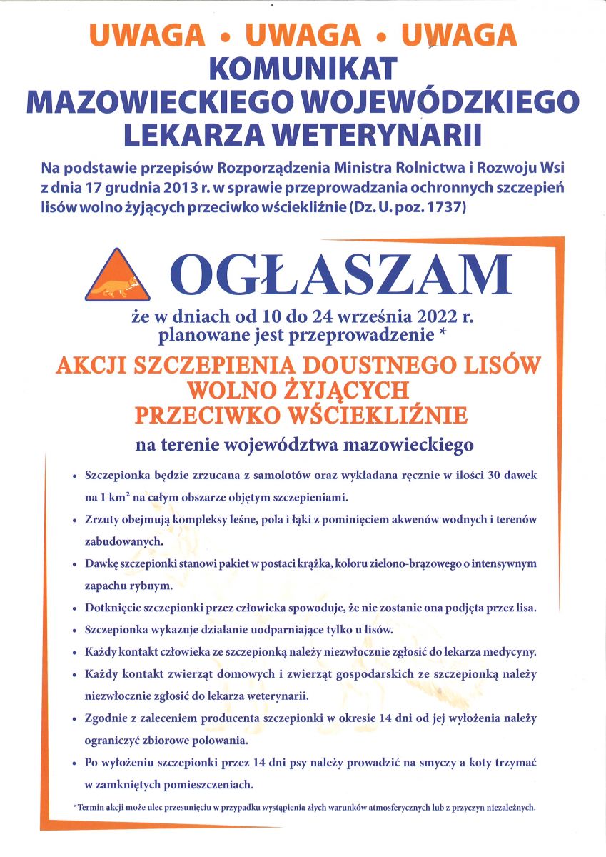 Akcja szczepienia lisów przeciwko wściekliźnie