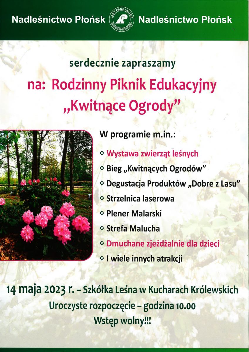 Rodzinny Piknik Edukacyjny 