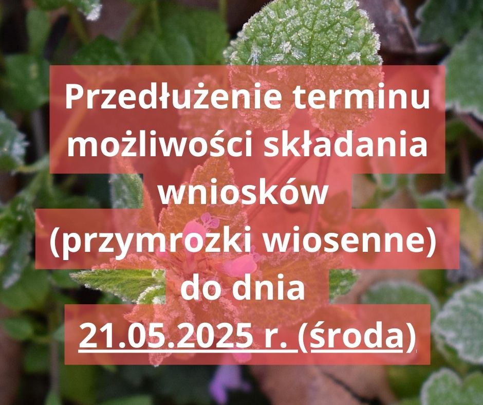  Przedłużenie terminu możliwości składania wniosków o szacowanie strat w uprawach rolnych - przymrozki wiosenne