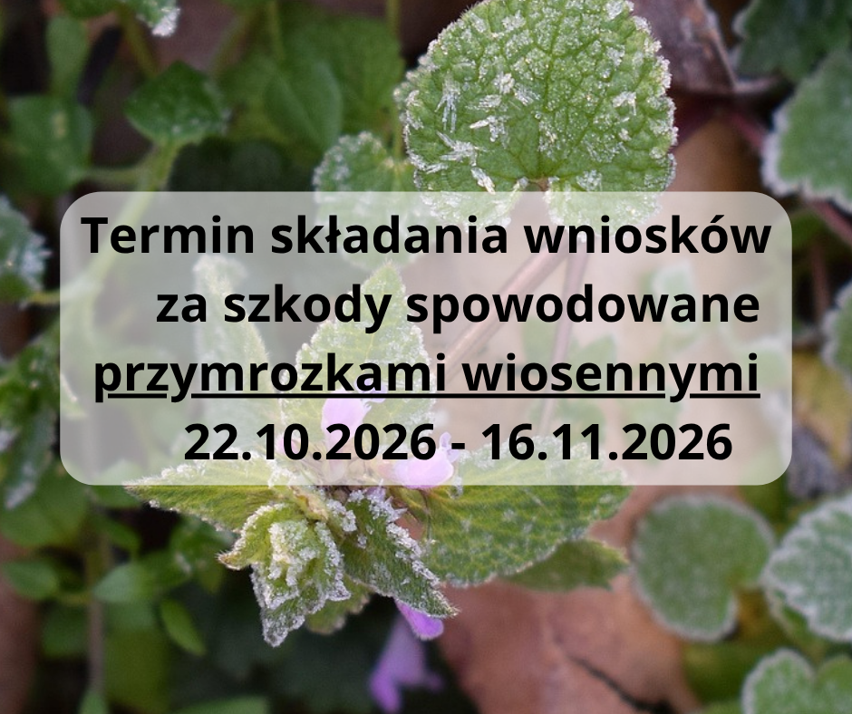 Informacja dla rolników - pomoc finansowa za straty spowodowane przymrozkami wiosennymi 2026