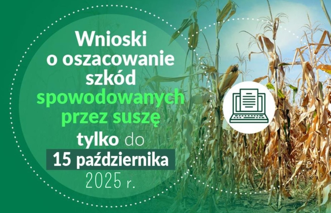 Wnioski o oszacowanie szkód spowodowanych przez suszę - termin do dnia 15.10.2025 r.