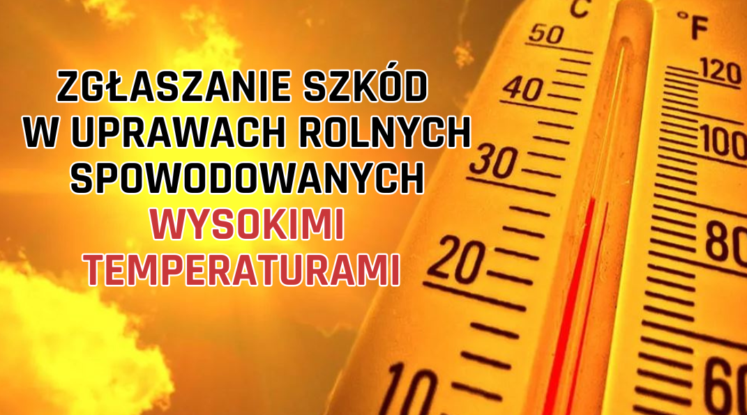 Zgłoszenia szkód spowodowanych przez wysokie temperatury