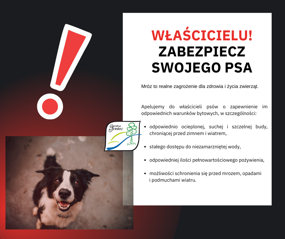 Komunikat do właścicieli czworonogów